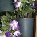 MARTINE MALL Artificial Flowers for Outdoors, 2 Potted Realistic Fake Outdoor Flowers, UV Resistant Silk Petunia Flower for Outside Look Real Faux Flower Plants in Pot for Porch Garden Decor, 20''