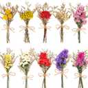 10 Pack Forget Me Not Dried Flowers Bouquets Natural Dry Flower with Stem Mini Dried Embossing Flower Dry Floral Arrangement for Vase, Crafts, Table Centerpieces, DIY, Photo Prop, Wedding, Home Decor