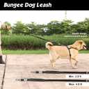 Double Handle Dog Leash - Heavy Duty, 4-6FT Reflective Tactical Leash with 2 Padded Handles, Shock Absorbing Bungee, Car Seatbelt & Easy Snap Hook, for Large, Medium & Small Dogs (Black)