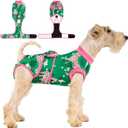 Recovery Suit for Dogs After Surgery,Female Male Dog Onesie for Spay Neuter,Substitute E-Collar & Cone,Anti-Licking Breathable Onesie for Small Medium Large Dogs (Pink and Green, Size: Medium)