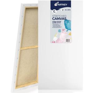 Stretched Canvases for Painting 24x48 Inch 2-Pack, 12.3 oz Triple Primed Acid-Free 100% Cotton Blank Canvas, Large Art Canvases for Oil Paint Acrylics Pouring & Wet Art Media, Pour Painting