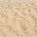 7x5ft Fabric Summer Hawaiian Beach Backdrop Luau Aloha Golden Sand Shell Tropical Seaside Photography Background Holiday Party Decorations Photo Booth Props