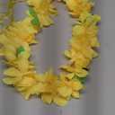 Tropical Dance Skirt Boy Girl Hawaiian Grass Skirt Flower Headband Necklace Bracelets Yellow Outfit for Luau Parties and Events