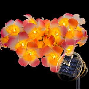 Solar Garden Lights 20Ft 20LED - Waterproof Outdoor String Lights with Hawaiian Plumeria Flowers - Tropical Floral Flower for Fence, Yard, Patio, Party Decor (Pink)