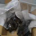 10 Bolt Spider Gears Kit Clutch Kit Replacement for Bronco 8.8 31 Spline Trac-Loc Positraction F8.8CPK