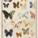 iHery Natural OAK Wood Framed Colorful Butterfly Wall Art, Large 16x20 in Modern Moth Canvas Wall Art, Beige Frame Botanical Modern Nature Inspired Bedroom Wall Decor Set of 1 For Living Room Home