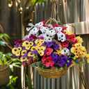 12 Bundles Artificial Pansy Flowers Faux Plastic Wild Flowers Bushes for Home Kitchen Garden Wedding Table Centerpieces Bouquet Arrangement Indoor Outdoor Decor (Mixed Color - 12Pack)