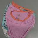 Fruit of the Loom Toddler Girls' Tag-Free Cotton Underwear (2-3T, Brief - 12 Pack - Assorted Colors)