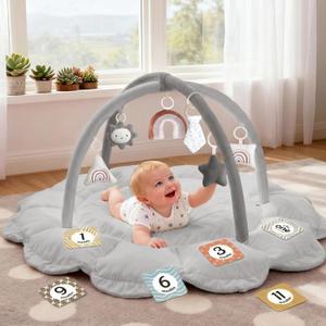 5-in-1 Thick & Plush Baby Play Gym, Baby Play Mats for Floor, Tummy Time Mat with 6 Toys, Convertible Stage-Based Developmental from Babies to Toddlers, Ball Pit, Pet Cushion Cloudico, Grey
