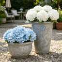 LFF 3Pcs White Hydrangea Artificial Flowers, 8.66" Large Real-Touch Latex Blooms with 22" Long Stems, Faux Hydrangea for Outdoor Planter Indoor Home Table Centerpieces Wedding Decor Bouquets