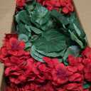 Hananona Artificial Geranium Flowers for Outdoors Geranium Silk Flowers Outdoor UV Resistant Garden Plants Faux Flowers for Home Kitchen Table Centerpieces Decor (12, Rose Red)