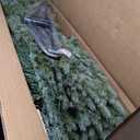 8ft Hinged Artificial Christmas Spruce Tree w/ 1658 Mixed PE & PVC Tips