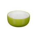 Everyday Living 9 OZ Citronella Bowl Lime Green