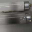 F15T8 18 Inch 15W T8 Fluorescent Replacement Tube Bulb Daylight 6500K Medium Bi-Pin G13 Base, 2 Count