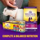 Wellness Complete Health Gravy and Minced Variety Pack Adult Canned Wet Cat Food, Natural, Protein Rich, Grain Free, Salmon, Tuna, and Chicken Recipes, 3 oz, Pack of 12 Cans (EXP 11/03/27)
