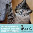 Sofisti - Cat Scratch Deterrent Tape for Furniture 10 Double Sided Anti Scratching Sticky Tape - Cat Scratch Furniture Protector Cat Training Tape Teaches Your Kitty Not to Scratch Your Couch
