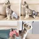 wegreeco Luxury Washable Reusable Dog Diapers (Stylish Pattern) - Female Dog Diapers, Doggie Diapers, 3 Pack (Lace, Medium)