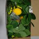 Lemon Swags 22" Artificial Decorative Floral Swags with Lights Lemons Bridal Shower Welcome Sign Fruit Swags Summer Spring Lintel Lemon Wreath for Wedding Arch Front Door Wall Home Kitchen Decoration