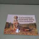 2 x Catahoula Leopard Dog Calendar 2026 Monthly Wall Calender 12 Month | American Made In The USA