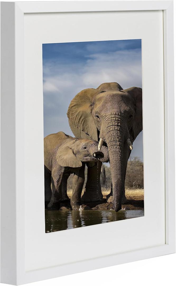 BD ART 12x16 White Picture Frame Made of Wood and High Definition Glass Display Pictures 8x12 with Mat or 12x16 Without Mat - Vertical and Horizontal Wall Mounting BD ART 12x16 White Picture Frame Made of Wood and High Definition Glass Display Pictures 8x12 with Mat or 12x16 Without Mat - Vertical and Horizontal Wall Mounting