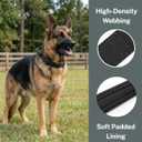 Tactical Dog Collar for Medium Large Dogs, Military Grade Nylon K9 Collar with Control Handle, Heavy Duty Metal Buckle, AirTag Holder & Patches, Adjustable for Training Walking Hiking（L）