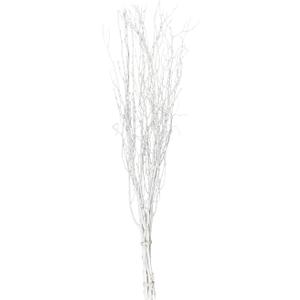 Balsa Circle 6 pcs White 46-inch Extra Long Decorative Birch Tree Branches Vase Fillers Rustic Dried Twigs Sticks Party Wedding Bouquets Centerpieces Supplies