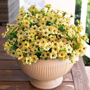 HyeFlora Artificial Fall Flowers Faux Mums for Outdoor Indoor Garden Home Decoration, Faux Flower Daisy with Eucalyptus Leaves Fake Plants Greenery Boxwood Porch Patio, 12 Bundles (Yellow)