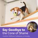 Inflatable Dog Cone Collar - Donut Collar Recovery ECollar Alternative After Surgery - Soft Dog Cone for Dogs, M