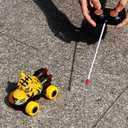Tipmant Cute RC Car Remote Control Vehicle Toys Realistic Animal Kids Birthday Gifts (Yellow Tiger)