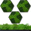 Hexagon Real Moss Wall Art  Set of 3 Eco-Friendly Natural Green Wall Decor for Living Room, Bedroom, Bathroom  Vintage Style Moss Panels for Home Interior Decoration,
