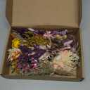 12/24 PCS Charming Dried Flowers Bouquet for Vase Various Dried Wildflowers with Stems Mini Handmade Wildflowers Natural Real Flowers Bulk Flowers Craft (Blossoms, 12 PCS)