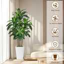 6FT Artificial Dracaena Tree, Fake Tree Indoor with White Tall Planter,Tall Artificial Plants Indoor,Artificial Silk Tree for Home Office Decor (White)
