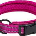 Truelove Dog Collar Reflective Premium Duraflex Buckle,High Grade Nylon Webbing No Choke Basic Collars TLC5011(Fushcia,M)