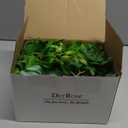 Der Rose 6 Pack Fake Plants Small Artificial Potted Plants Faux Plants for Home Office Desk Bathroom Aesthetic Farmhouse Room Decor Indoor (White)