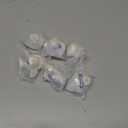 FoeZoe 6 Pack Golden for Bathroom,Kitchen,Bedroom (knob)