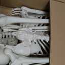 Breesky Life Size Skeleton for Halloween: 4.43ft Realistic Human Anatomy Full Body Skeleton Model with 360° Posable Movable Arms - Skeletons for Outdoor Yard Haunted House Atmosphere Decoration