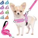 Lukovee No Pull Dog Harness and Leash Set, Soft Padded Small Dog Harness, Neck & Chest Adjustable Reflective Vest Puppy Harness with 4ft Lightweight Anti-Twist Dog Leash for Small Dogs (XS, Fuschia)