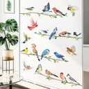 decalmile Birds on Branch Wall Decals Colorful Bird Wall Stickers Bedroom Living Room Office Kitchen Home Decor