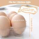 WIKDAY Plastic Egg Cartons 60 Pack 12 Count Cheap Bulk Clear Dozen Reusable Empty Egg Containers for Chicken Eggs Storage with Date Tracking Stickers Egg Care Instructions, Medium to Large