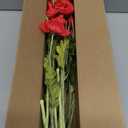 ATFL Red Poppy Flowers Artificia Fake Faux Silk Poppies Bulk with Stems
red poppies, 12-pack 23.5", realistic artificial silk poppy flowers, silk stems perfect for memorial day home wedding decor