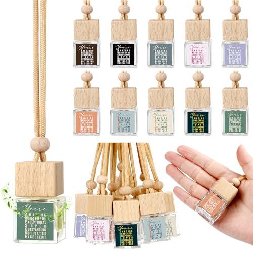 Funnymoom Employee Appreciation Gift Bulk 8ml Car Air Freshener Diffuser Hanging Car Empty Glass Oil Diffuser Thank You Gifts for Coworker Social Worker(30 Pcs)