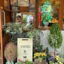 Green Planter Neon Lights,LED Hand Bouquet Neon Signs for Wall Decor, Neon Light Sign Neon Room Decor,USB Night Lights for Bedrooms,Shops,Florists,Bars,Parties,Wedding,Holiday Gifts (Green-Flower Pot)