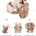 Butterfly Hair Clips: Flower Small Claw Clips for Women - 12pcs Matte Cute Hair Clips for Girls (Black + Gray + Dark Green + Light Brown + Coffee + Tortoise Shell)