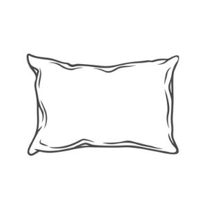 Sealy Pillow 2 Pack 32×18, 25×16