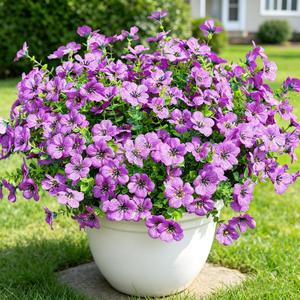 2 x Elyum Artificial Flowers for Outdoors, 9 Bundles Artificial Plants & Flowers Outdoor, UV Resistant Faux Flowers Outdoor Fake Flowers for Outside Porch Window Box Decoration(Purple)