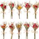 VAIPI 10 Pack Red Rose Dried Flower Bouquets Natural Real Dry Flowers with Stem Mini Roses Flower Bundles Dried Floral Arrangement for Vase, Carfts, Wedding, Valentines Day, Anniversary, Home Decor