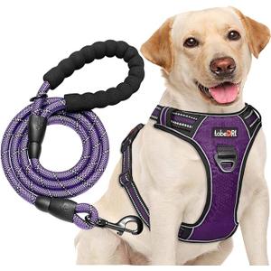 No Pull Harness with A Free Heavy Duty 5ft Leash for Medium Large Dog Adjustable Reflective Oxford Easy Control (L (Neck: 18"-25.5", Chest: 25.5"-31"), Purple Harness+Leash)