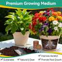 ZeeDix 50 Pcs 30mm Organic Coco Coir Pellets for Seed Starter, Compressed Coconut Coir Potting Soil for Planting, Garden Soil for Indoor Outdoor Plants Bonsai Herbs Flowers Vegetables