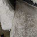 8x10 Carpet Fluffy Rug for Living Room - Large Nursery Thicked Fuzzy Plush Rug for Bedroom 8x10 Area Rugs White