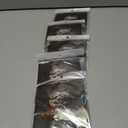 5 x Halloween Bats Decoration, 4 Different Sizes 3D Realistic PVC Bats Stickers for Outdoor Scary Bat Sticker for Home Decor Bathroom Indoor Halloween DIY Home Decor Party Supplies 16PCS